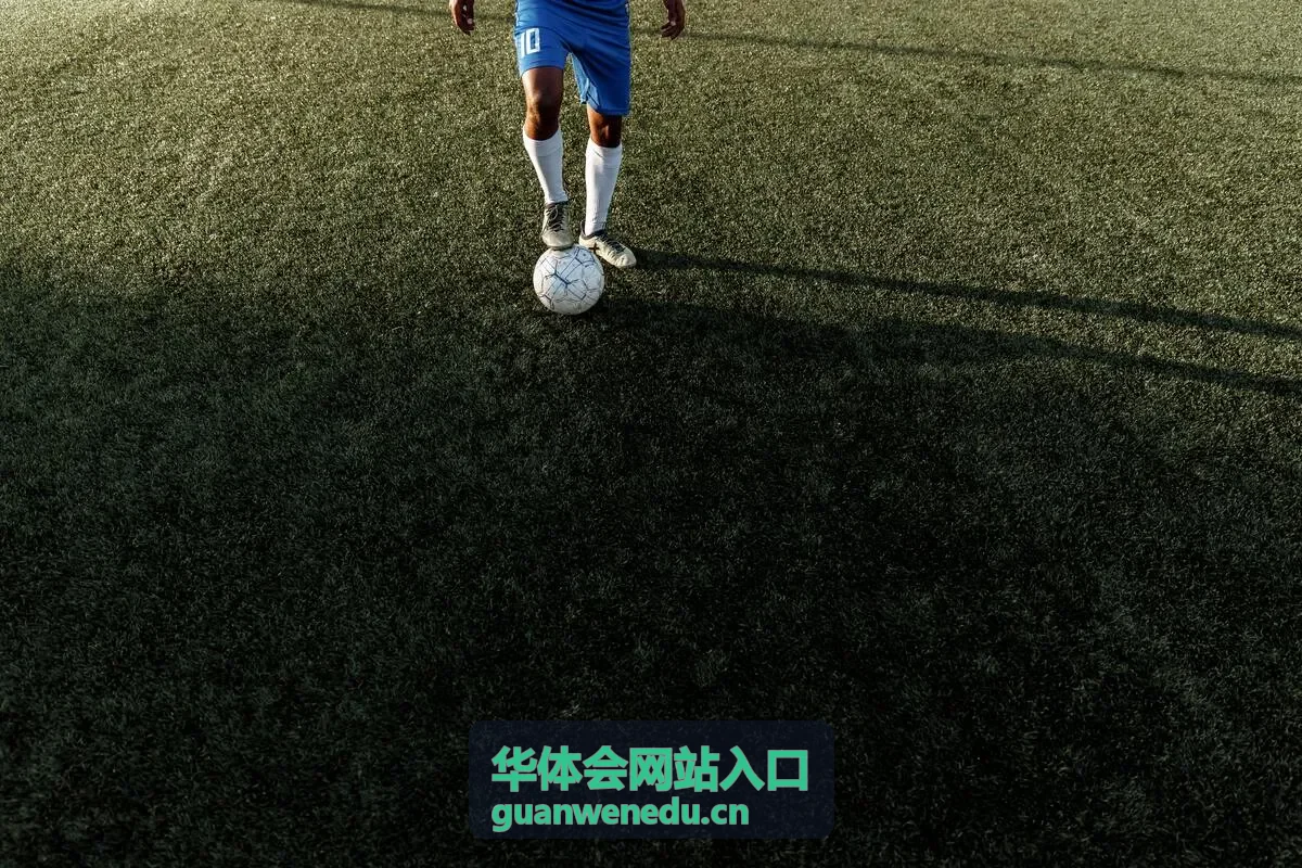 华体会网站入口服务权益升级说明