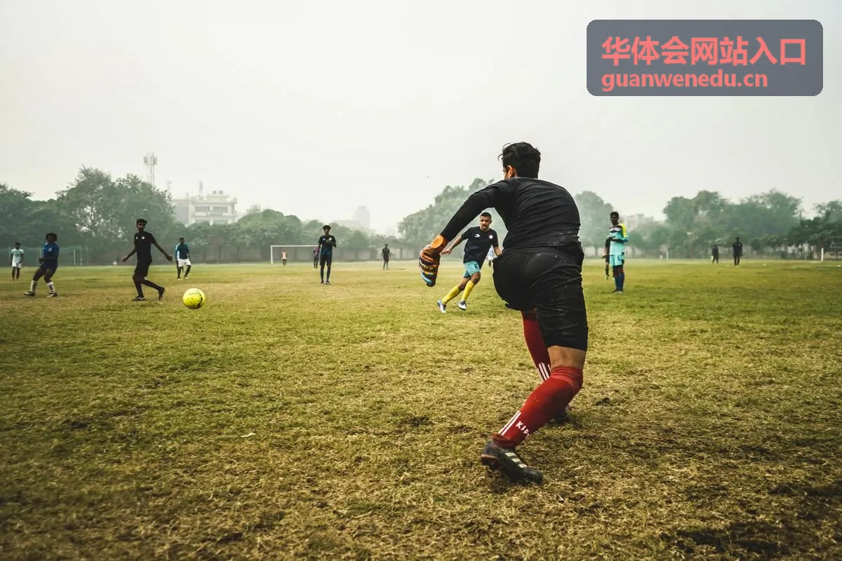 华体会网站入口问题排查指南